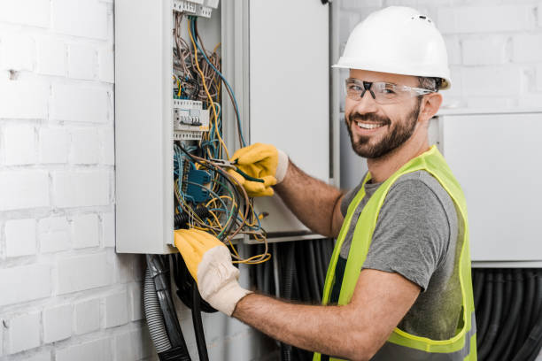Best Electric Panel Repair  in Stevensville, MI