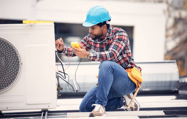 Best Licensed Electrician  in Stevensville, MI